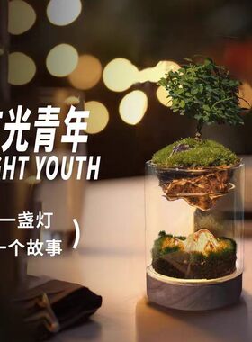 成品微景观生态瓶办公室桌面摆件