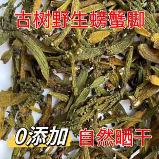 云南野生螃蟹脚古茶树寄生正品特级天然中草药材滋补养生自然晒干
