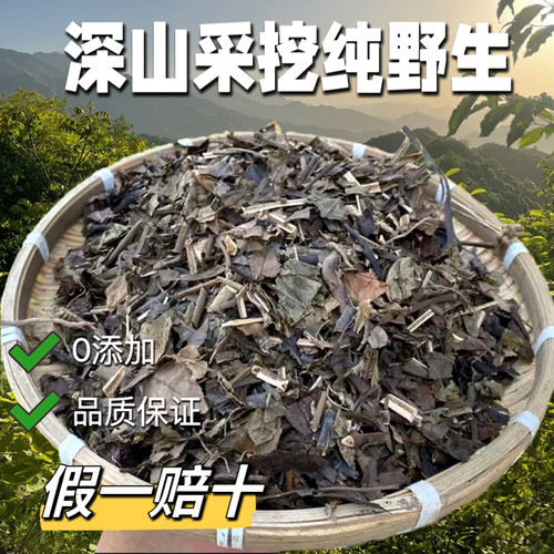 正宗缅甸纯野生【消yan炎大王】中草药材肿节风草珊瑚云南发货