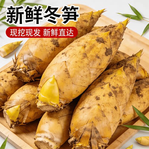 安徽现挖现发新鲜脆嫩冬笋