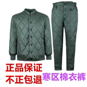 套装 正品 松枝绿单上衣短款 棉衣裤 温区寒区军绿色棉衣棉袄制式 冬季