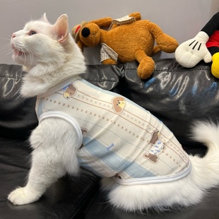 腊肠狗宠物猫咪衣服夏季薄款透气无袖背心式防掉毛防尘网纱布可爱