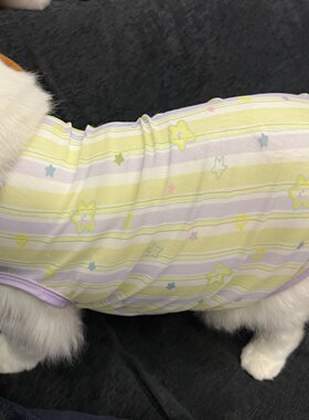 夏天可爱猫咪衣服无袖背心防掉毛