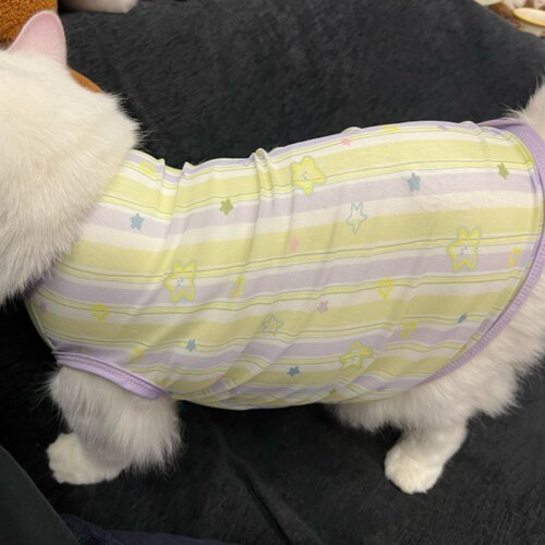 夏天可爱猫咪衣服无袖背心防掉毛