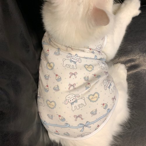 甜美宠物猫咪衣服无袖吊带背心式