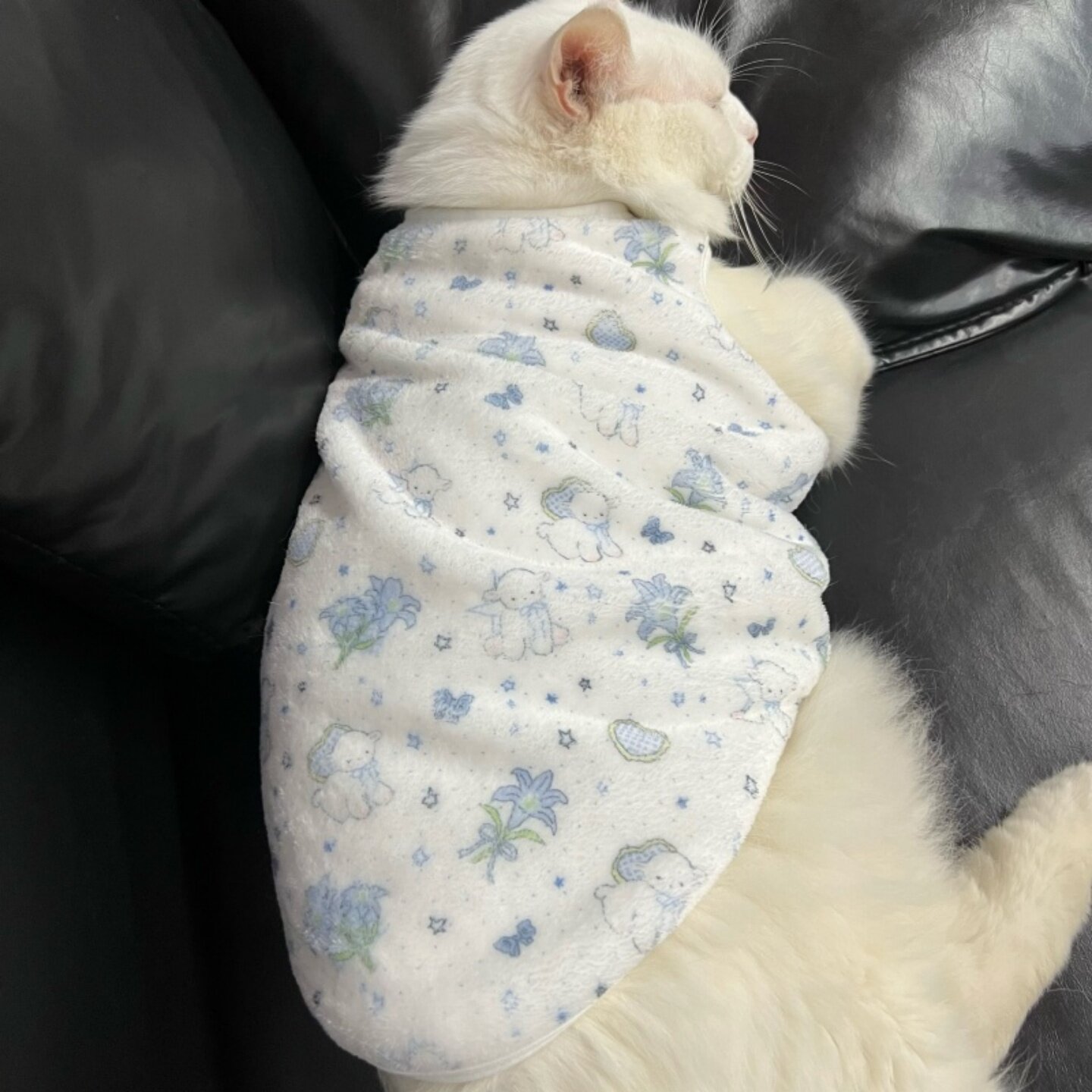 可爱小羊宠物猫咪衣服秋冬季加绒加厚保暖无袖背心式防掉毛法兰绒