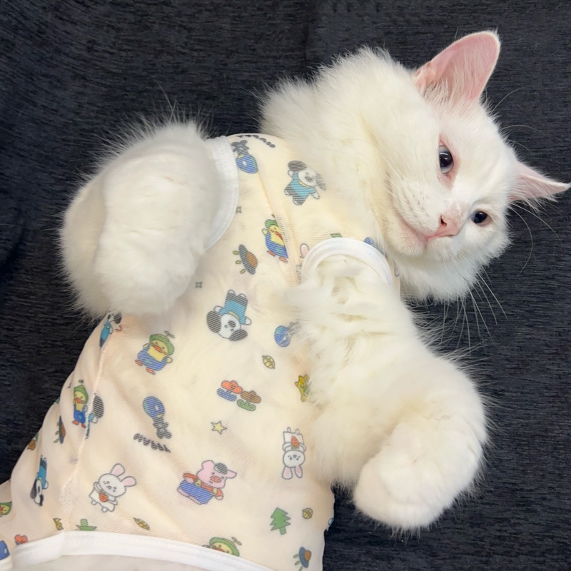 宠物猫咪衣服夏季薄款透气背心式