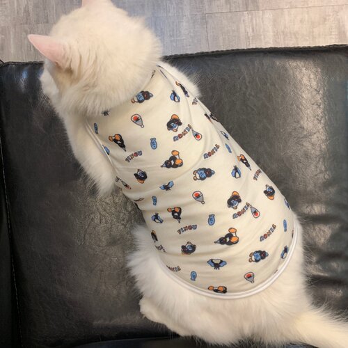 pingu企鹅猫咪衣服春秋吊带背心