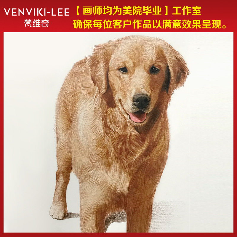 彩铅画像定制宠物人物素描照片转手绘生日礼物纪念品头像狗狗原创