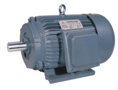 油泵电机 3-PHASE INDUCTION MOTOR YT100L1-4YT2100L-2马达