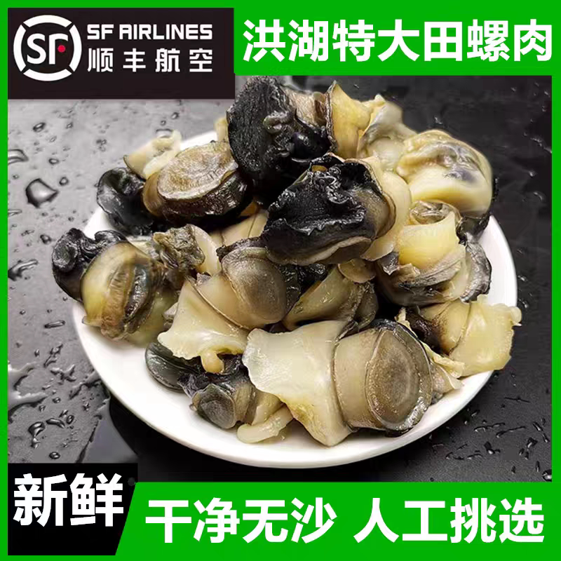（顺丰包邮）新鲜田螺肉湖北中华泥螺