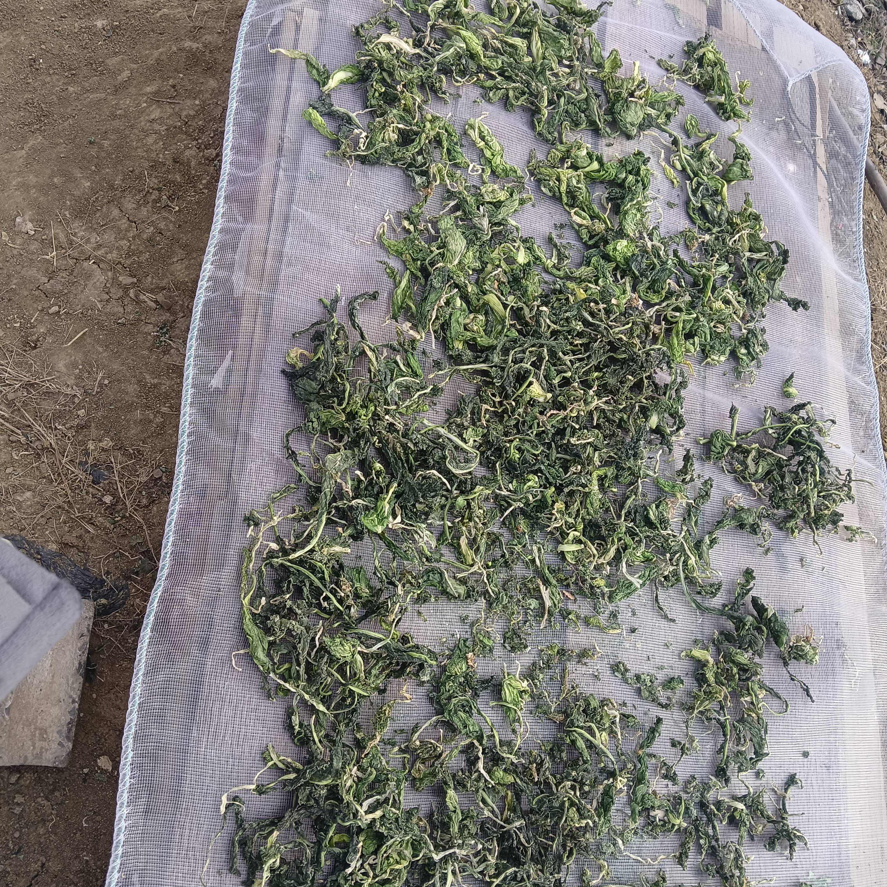 晒谷神器鱼干萝卜干晒稻谷网多功能晒物垫农村晾晒垫篷布晾晒网晒