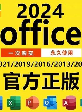 office2024 2021 2019 2016 2013办公软件远程安装word excel ppt