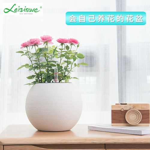 塑料简约现代创意自吸水懒人花盆