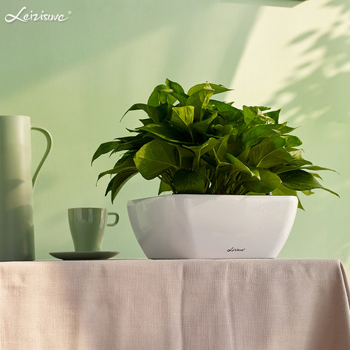 自动吸水懒人花盆绿萝桌面办公