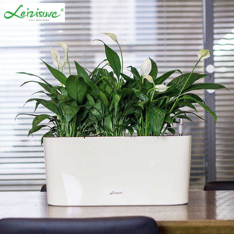 简约轻奢风PP树脂自吸水懒人花盆