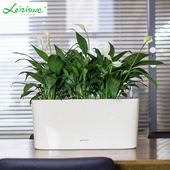 懒人花盆自动吸水大号创意长方形塑料花盆特大仿陶瓷绿萝花盆树脂