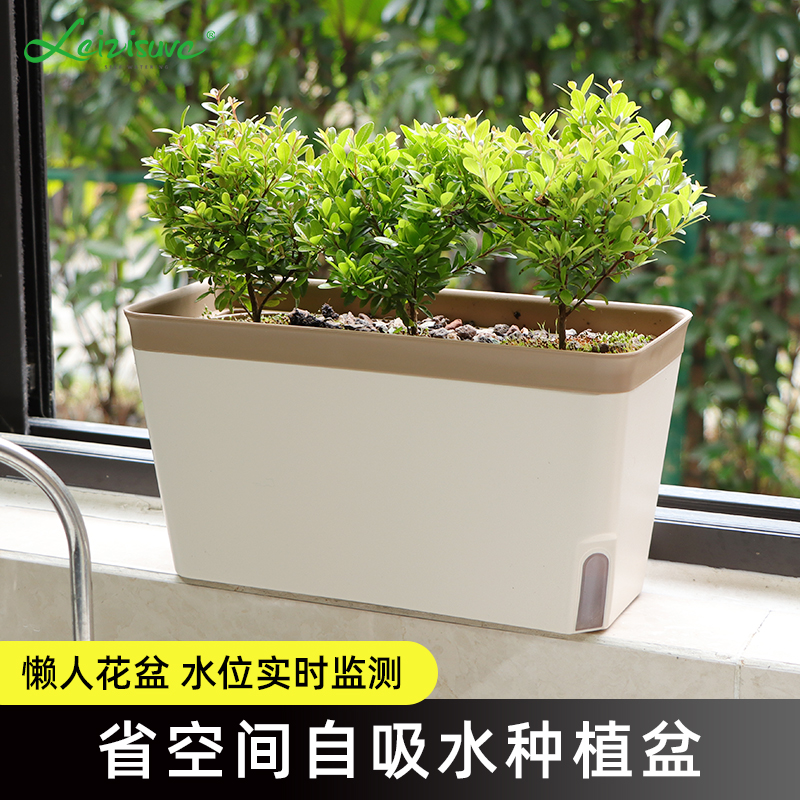 室内阳台自吸水小花盆种菜种植箱菜盆青菜小葱香菜栽种辣椒专用盆 鲜花速递/花卉仿真/绿植园艺 花盆 原图主图