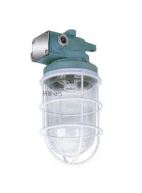 船用灯具 货舱灯 792055作业灯 DS7-4M船用作业灯 60W 220V