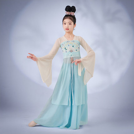 儿童古典舞现代舞身韵飘逸纱衣中国风广袖长款舞蹈服