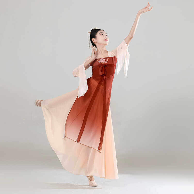 中国舞长款汉唐舞蹈服飘逸