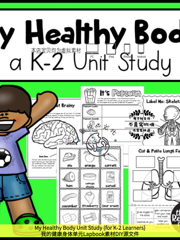my healthy body unit study我的健康身体lapbook素材diy源文件