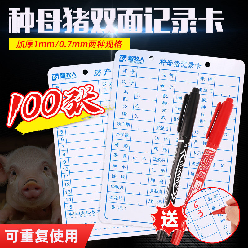 母猪记录卡双面加厚分娩