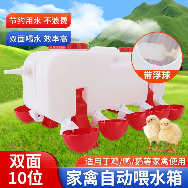 家禽自动饮水器新款喂鸡