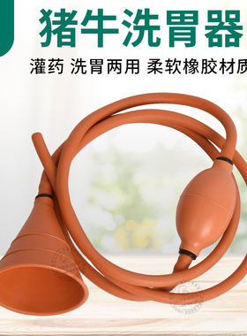 胃管兽用羊洗胃器专用猪