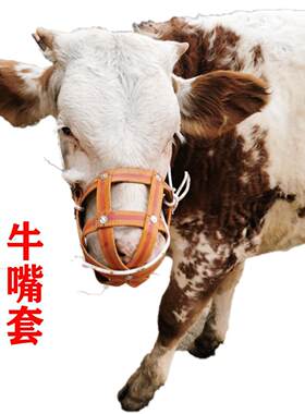 嘴套牛母猪防咬笼头马
