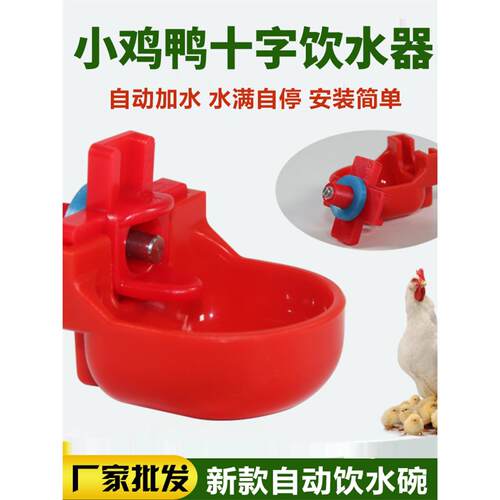 小鸡喝水自动饮水器喂用