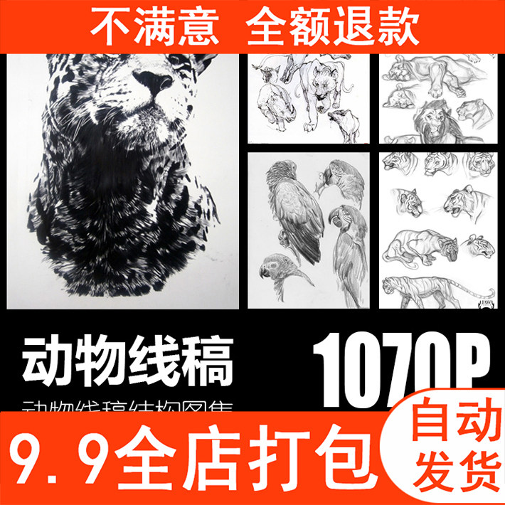 动物野兽线稿速写图片手绘铅笔钢笔白描手稿美术临摹参考素材