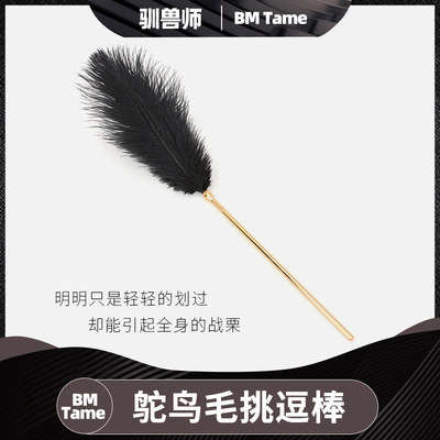 鸵鸟毛黑色羽毛棒金属鞭可拆卸挠痒痒玩具工具黑色天然羽毛