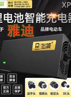 雅迪电动车锂电池充电器48V2A锂离子电瓶电车自行车54.6V原装通用