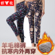 大码 加厚加绒外穿高腰中老年人保暖裤 加肥 女冬季 雅鹿妈妈羊毛棉裤