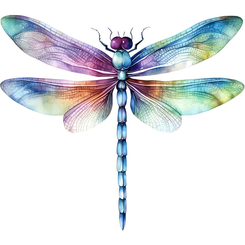 仿真蜻蜓贴纸客厅卧室浴室冰箱室内墙面装饰贴画防水自粘门窗贴花