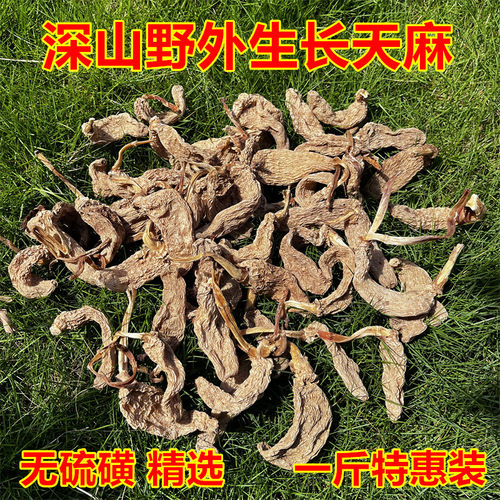 深山特产干货野外生长无硫天麻正品非长白山云南邵通可切片500g1