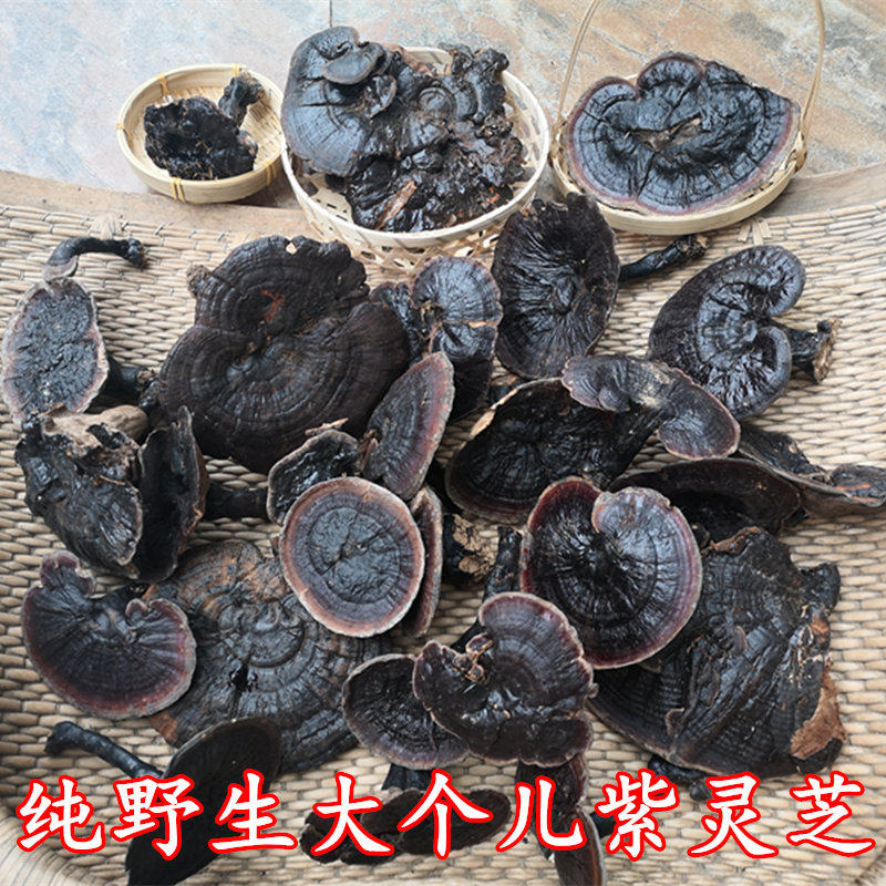 天然野生紫灵芝整枝林芝干货黑芝泡茶泡酒煲汤食材可切片磨粉250g