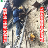 深山土蜂蜜天然纯正野生液态蜜农家自产结晶蜜百花蜜500g 包邮