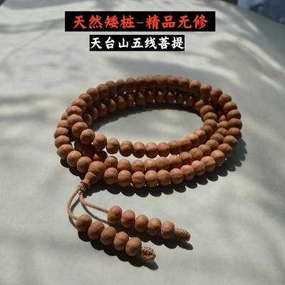 天然无修矮桩天台山五线菩提108