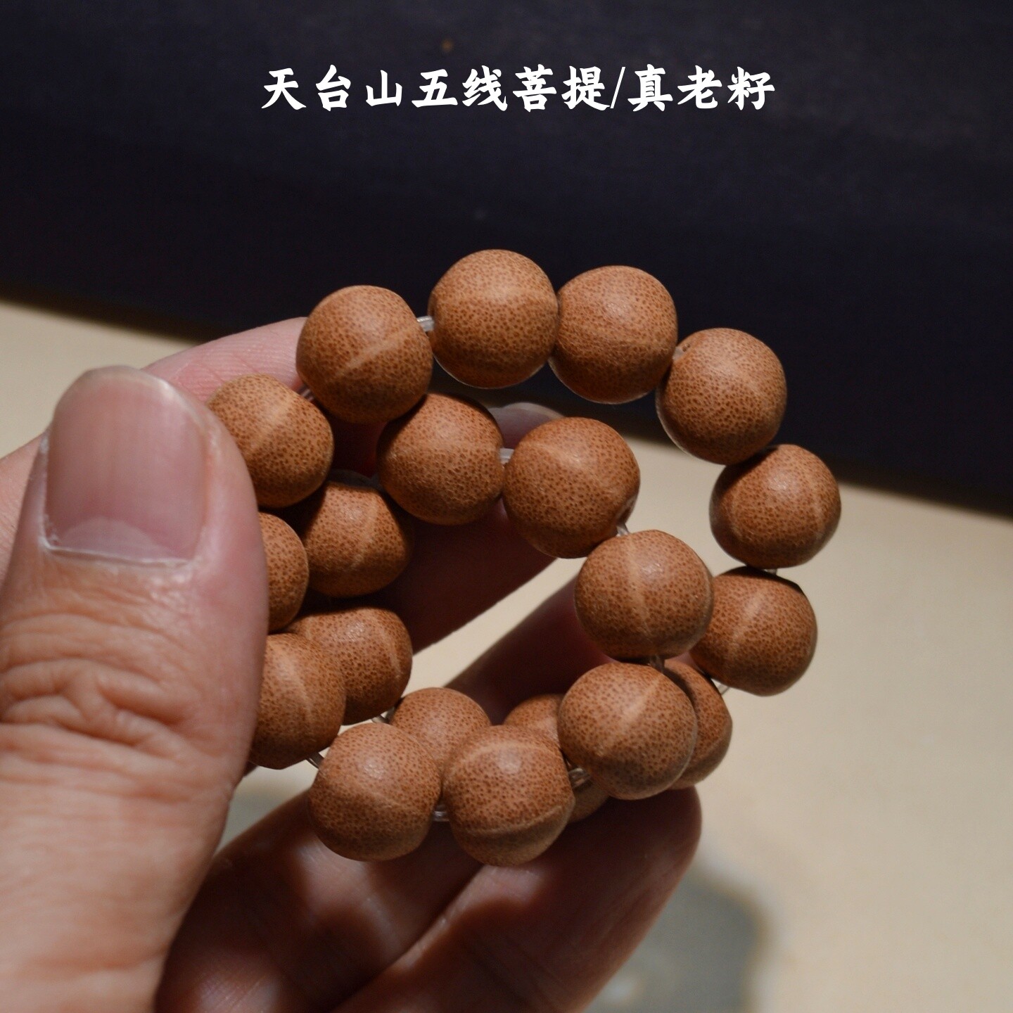 天台山野生五线菩提手串图片