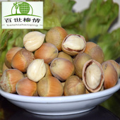 百世榛情平欧大榛子东北特产原味无添加新鲜玉坠水仁生榛子坚果