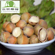 百世榛情平欧大榛子东北特产原味无添加新鲜玉坠水仁生榛子坚果