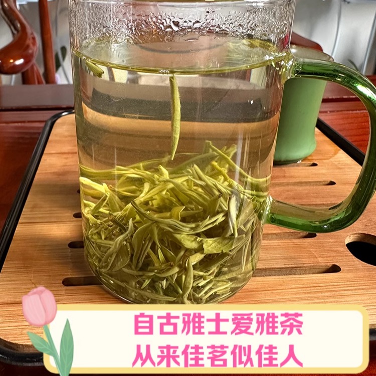 2024新茶碧螺春茶春茶江浙绿茶名茶明前春茶绿茶高山云雾茶-封面