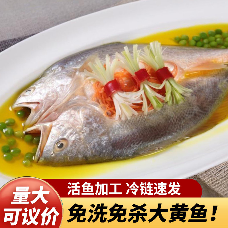 量大优选大黄鱼免杀整条冷链速发蒜瓣肉清蒸红烧厂家直供,水产肉类/新鲜蔬果/熟食,黄鱼,淘宝优惠券,粉丝福利购,淘宝优惠卷