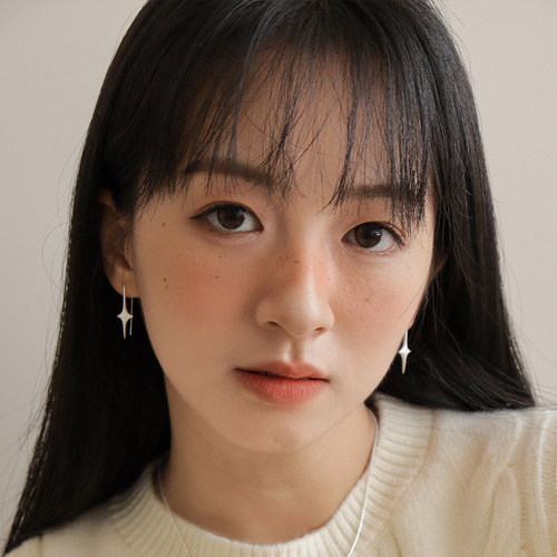 est studio小众简约磨砂拉丝星形925银针耳环女时髦通勤小巧耳饰