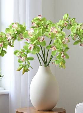仿真蝴蝶兰绿色莫奈花园绿植假花3D打印兰花胶片蕙兰东亚兰仿真花