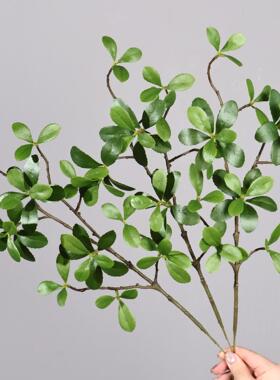 仿真绿植海岛春花树枝北欧风格禅意树枝插花民宿装饰摆件网红插枝