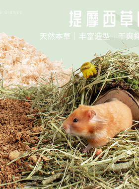 QIQIANWU七千五 仓鼠金丝熊天然垫料夏季提摩西草段去味打洞造景