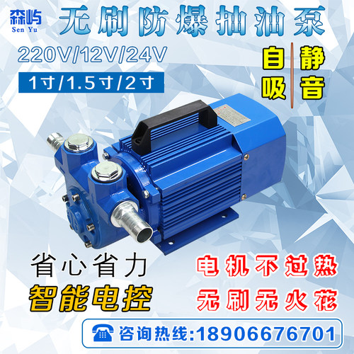 12/24V防爆抽油泵无刷电机220V电动导油泵大流量计量自吸泵1寸2寸